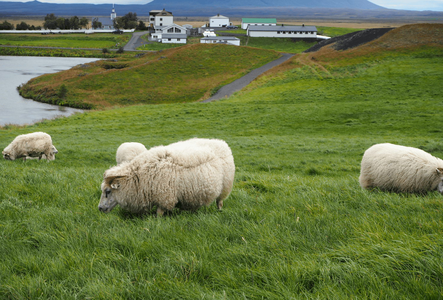 Island Roadtrip - Skútustaðagígar